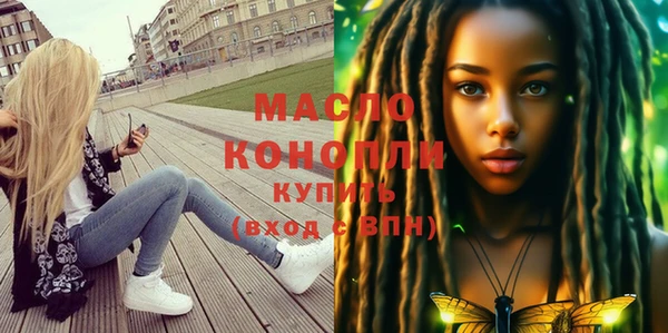молекула духа Новозыбков